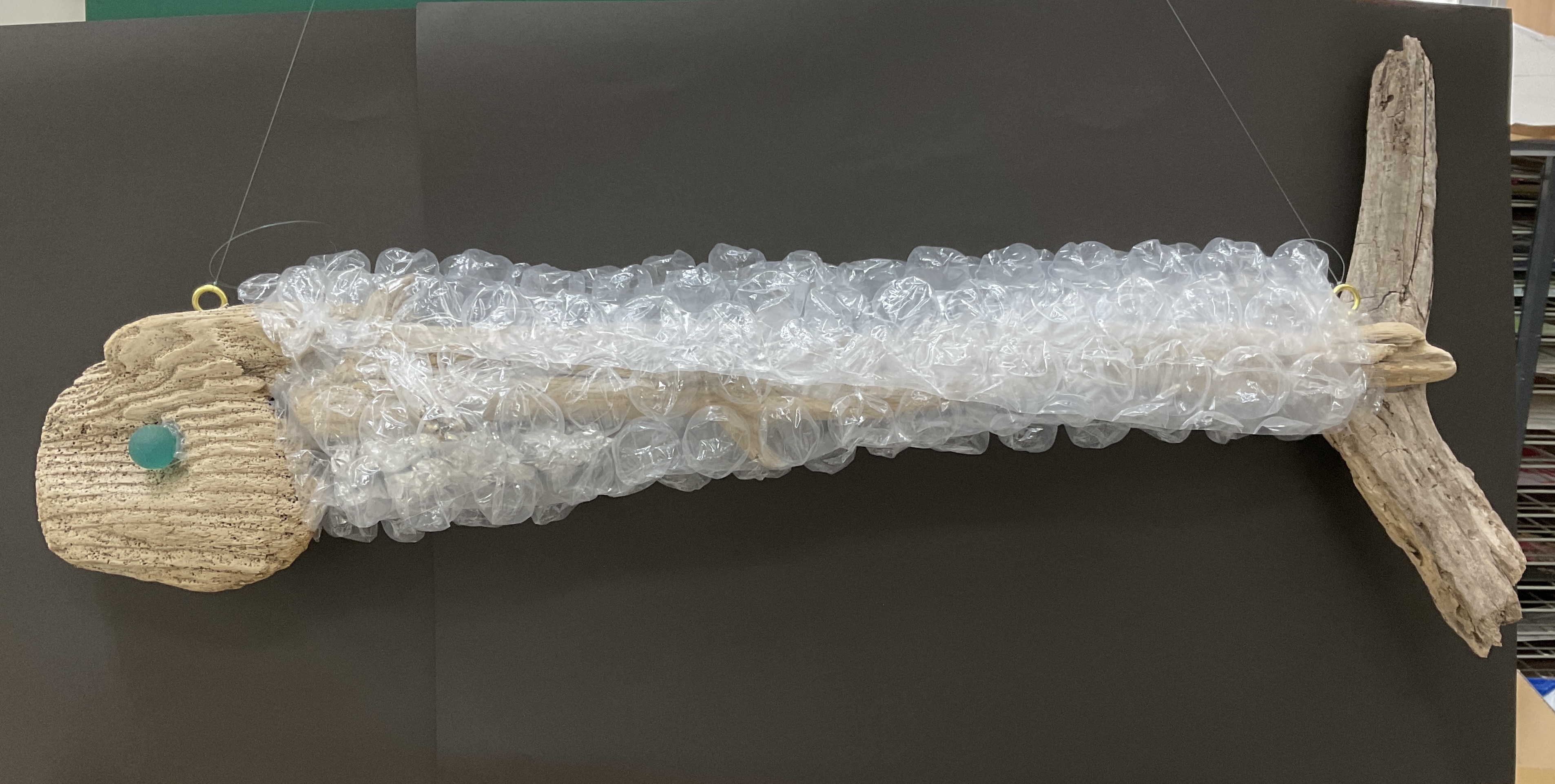 中２年　東條泰己　「廃墟なるハイギョ」